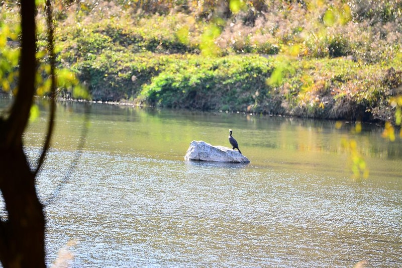 은빛물결캠핑장 시설 사진 4
