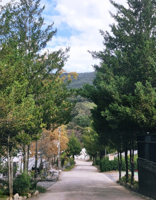 [경남 산청 지리산 뷰] 더예감스테이 캠핑장(개별 화장실/샤워실...