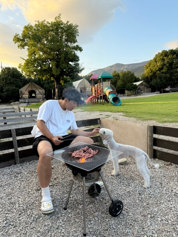 광주근교 장흥 땡땡이글램핑 로얄103동 애견동반입실가능