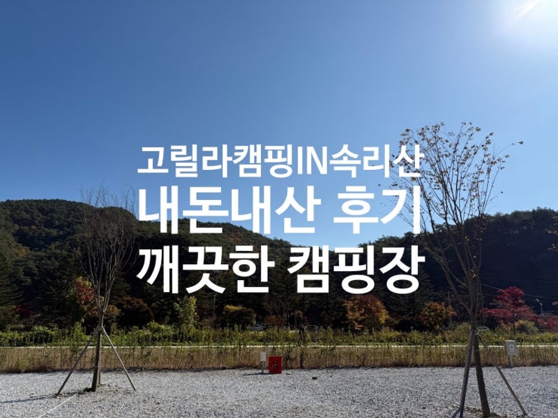 캠핑 ② / 고릴라 캠핑 in 속리산 / D4번 사이트 / 침낭 빼먹고...