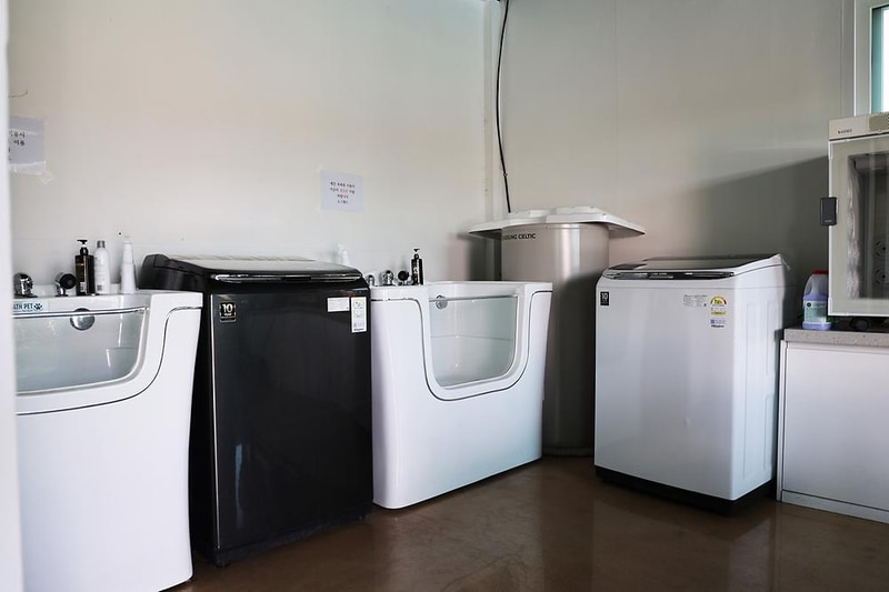 도그랜드 캠핑장 시설 사진 7