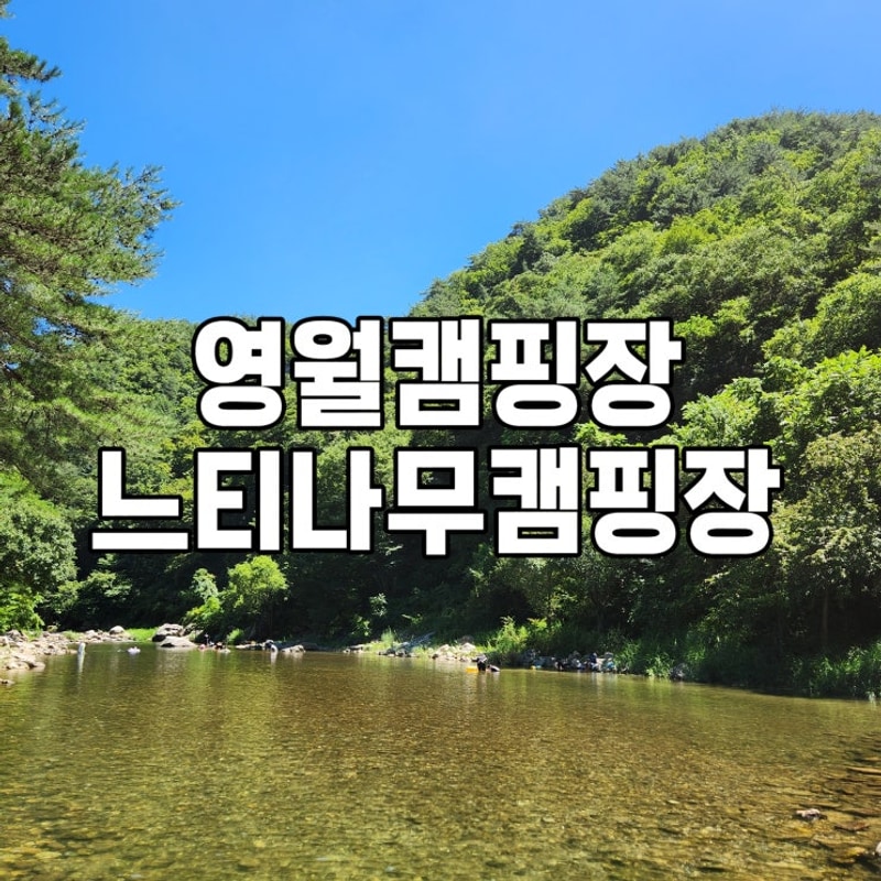 영월 느티나무캠핑장 계곡, 수영장, 조식 갓벽해(타프63번)