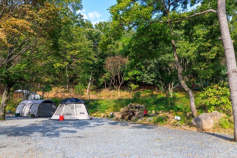 상사호 오토 캠핑장 대표 사진