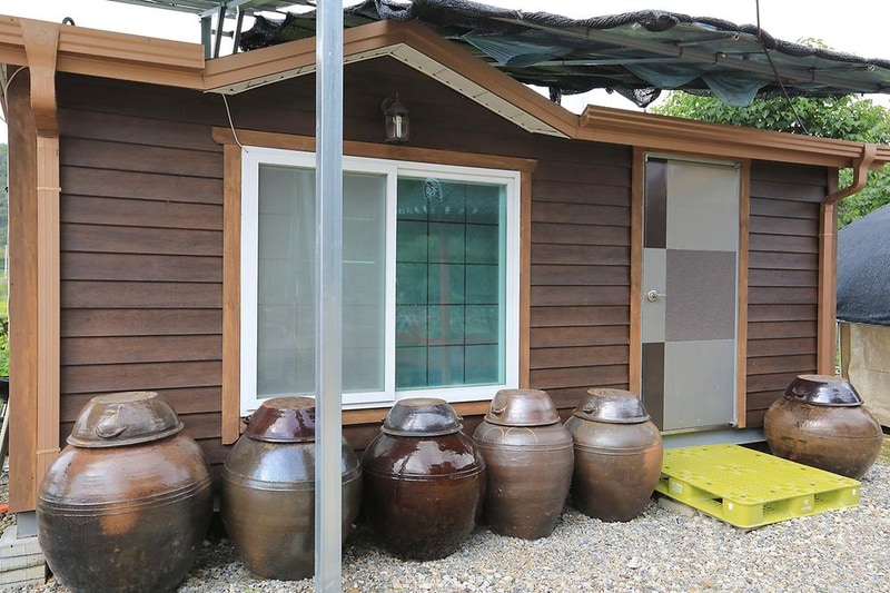 코끼리관광농원 시설 사진 5