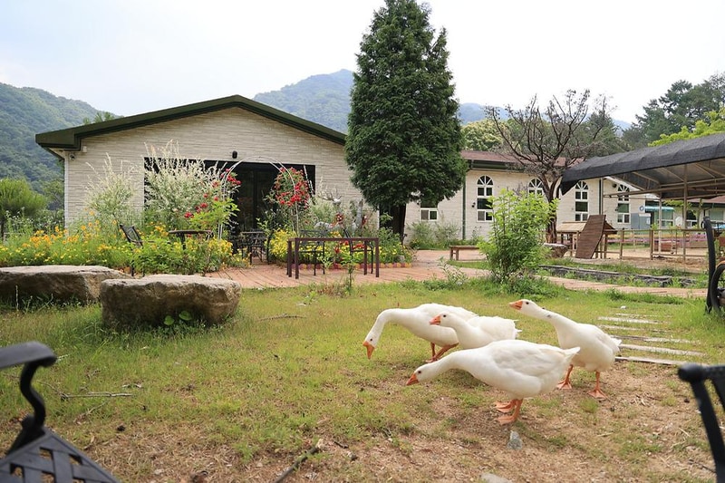 팜스프링 야영장 시설 사진 1