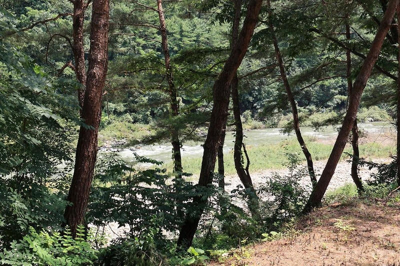 ㈜어메이징캠프 시설 사진 4