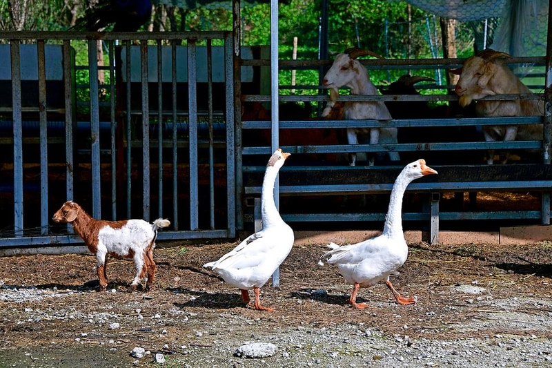 민들레동산 캠핑장 시설 사진 6