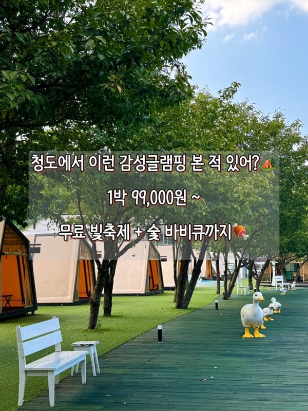 청도 프로방스 글램핑️ 무료 빛축제 + 감성 바비큐까지!