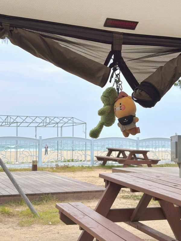 고성 송지호 해변의 오호 캠핑장