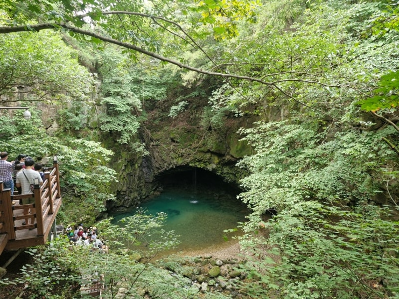 포천 비둘기낭캠핑장 후기 | D10 사이트 리뷰 / A·B·C·D·E...