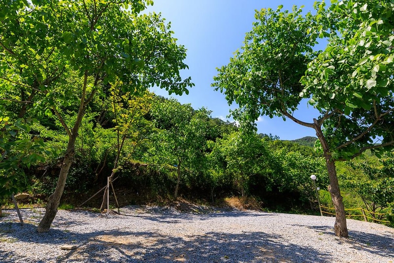 은하수 관광농원 시설 사진 13