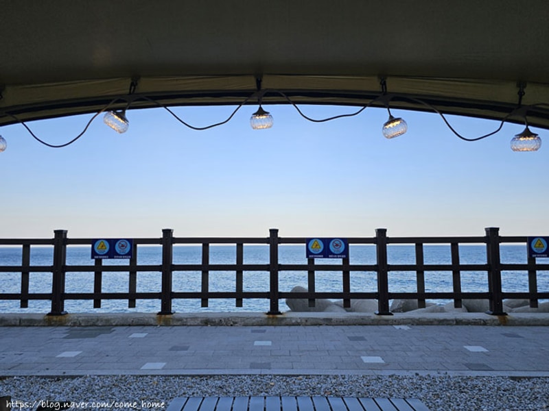 강릉 바다내음캠핑장 _ A1(강릉 오션뷰캠핑장)