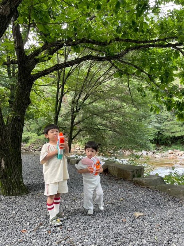 아이와 여름에 가기 좋은 캠핑장 '영월 소나무와 계곡 캠핑장'
