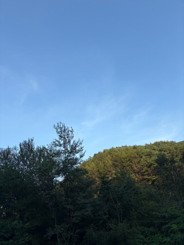 강원도 아이와 함께 가기좋은 캠핑장 영월 솔밭캠프장