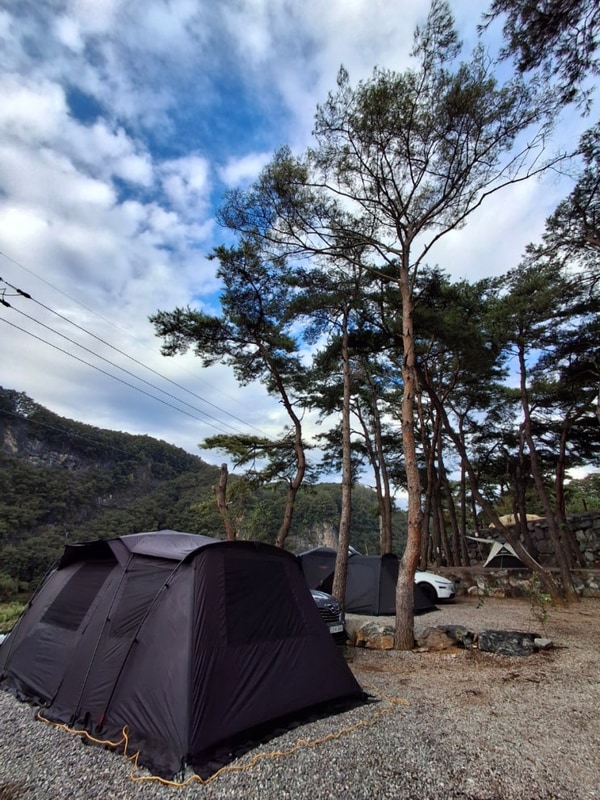 그래가 캠핑 예약 영월 한반도 캠핑장 사이트 리뷰