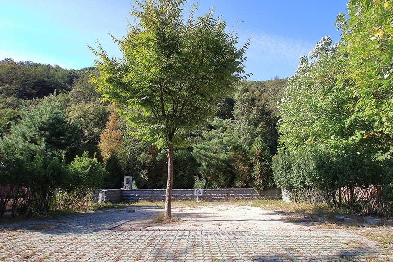 백야자연휴양림 오토캠핑장 시설 사진 17