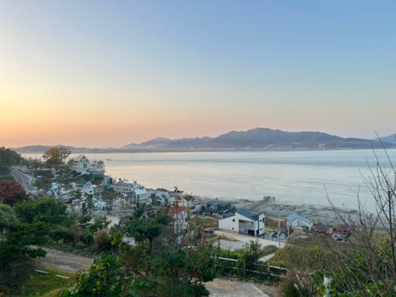 강화 씨사이드힐 캠핑장 오션뷰 오크존 8번 애견 동반 가능한 곳