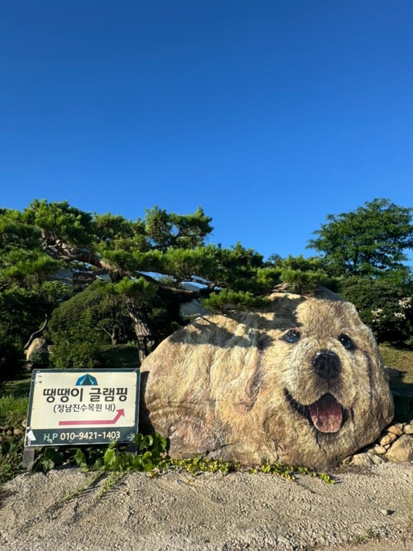 광주 근교 글램핑, 장흥 땡땡이 글램핑 솔직 후기