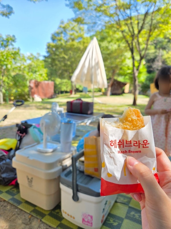 [구미] 금오산 야영장 캠프닉 후기⛺/예약 방법/ 사이트 팁