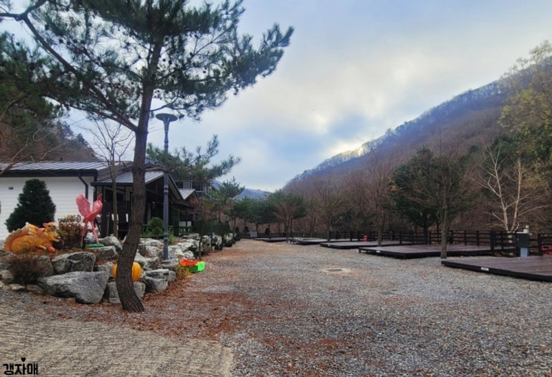 평창 개별화장실 캠핑장 가족 펜션 추천 흥정계곡 리프레쉬...