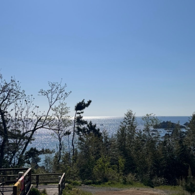 [강원도여행]삼척 캠핑추천: 바다뷰 캠핑장 캠프오슬로