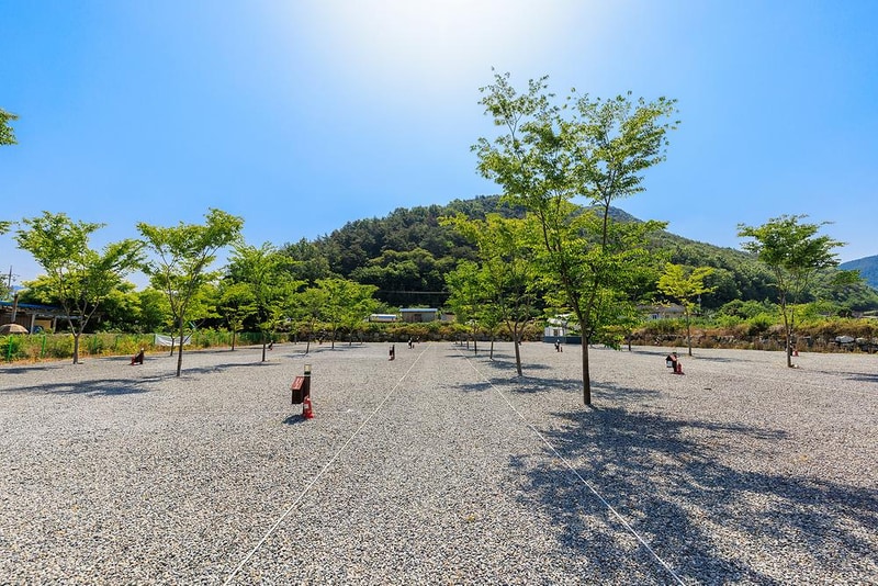 엠와이힐링캠핑장 시설 사진 13