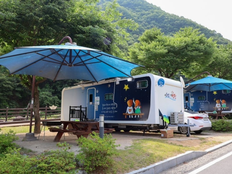 영천 치산캠핑장 6인용 카라반 예약 시설 계곡 물놀이 후기
