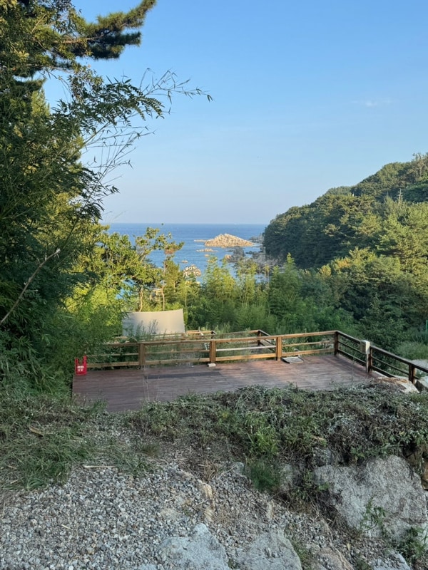 [2박 3일 삼척 ] 캠프오슬로 신남해수욕장 뷰 캠핑장