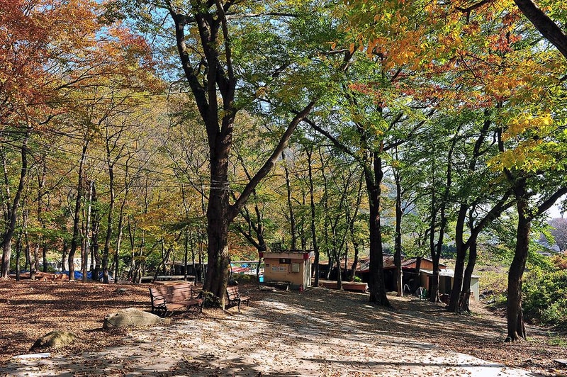 숲속가든 캠핑장 시설 사진 5