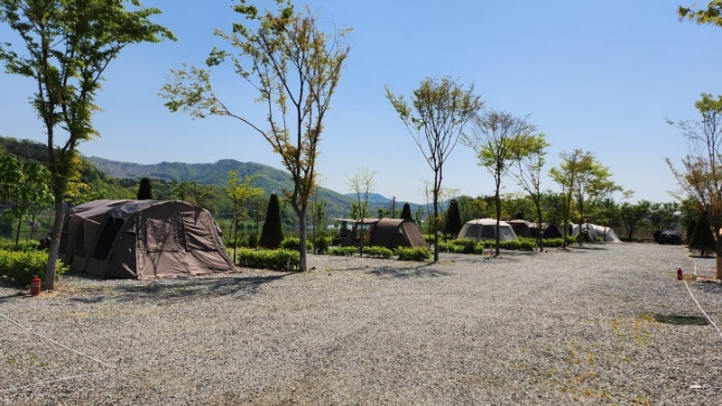 충주 소리의섬 캠핑장 _ 추천!