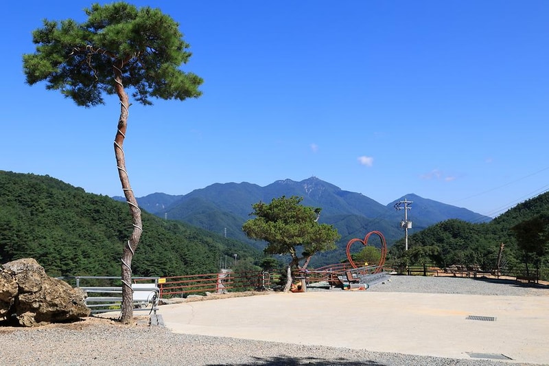 오도산 관광농원 시설 사진 7