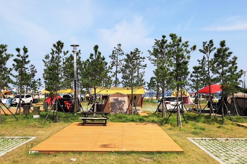 백도오토야영장 시설 사진 16