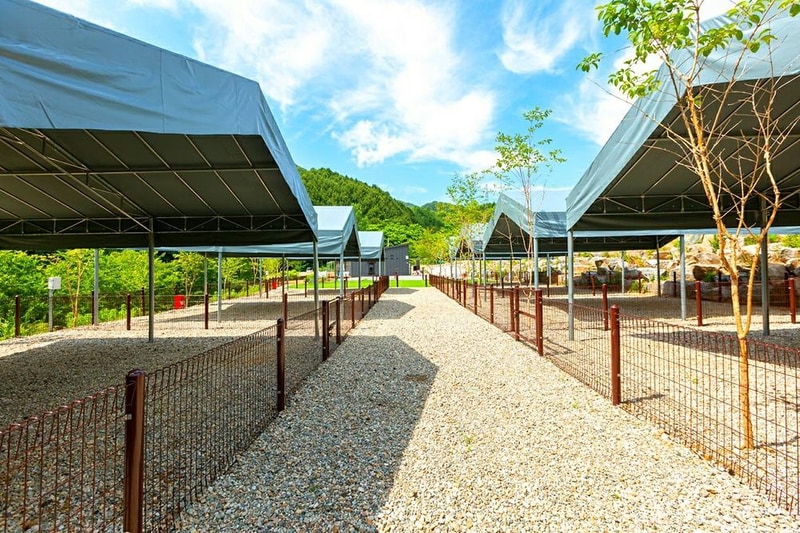 드루왈 캠핑장 시설 사진 20