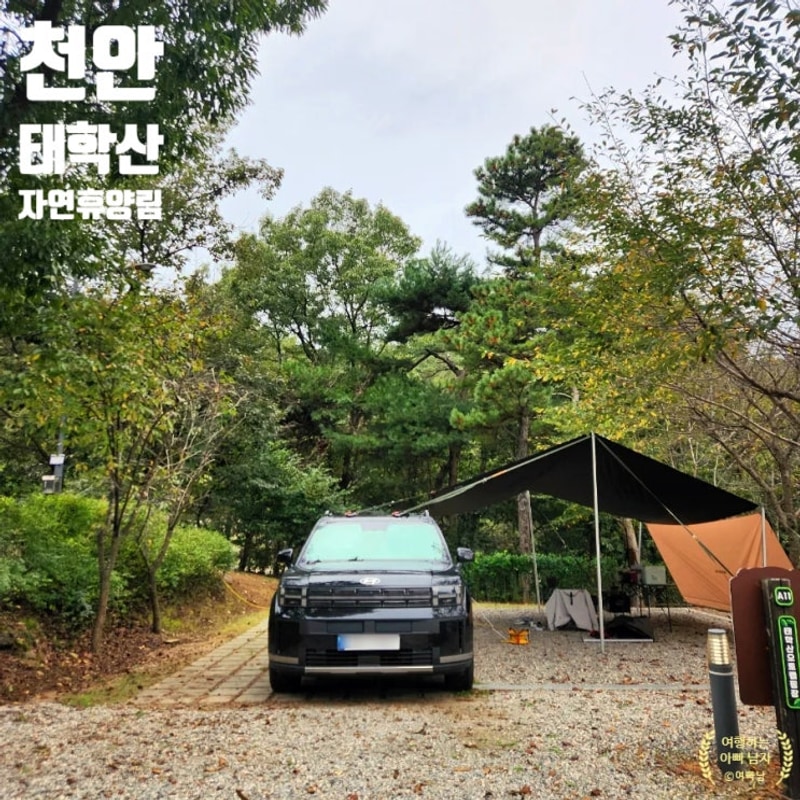 천안 태학산 자연휴양림 오토캠핑장