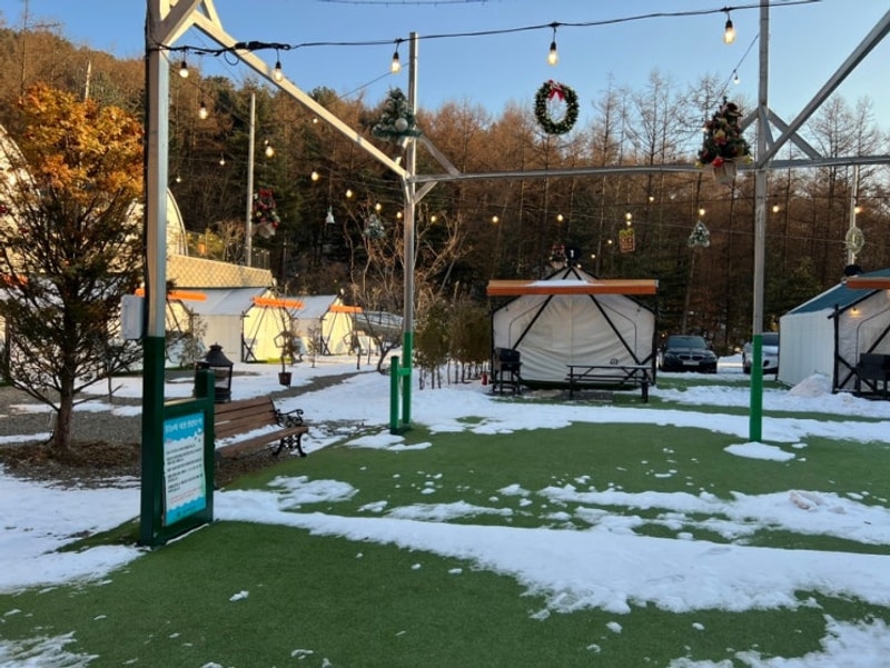 서울근교 바베큐 아이와 가기 좋은 포천 글램핑 코코숲