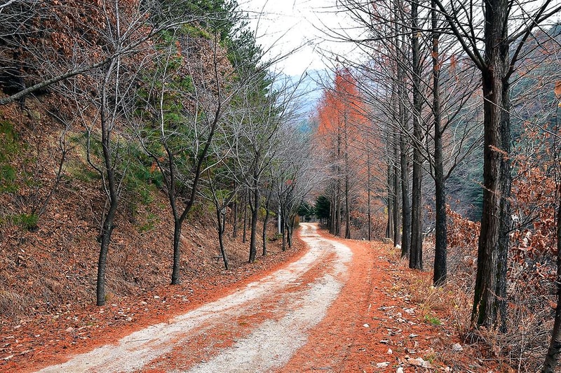 국망봉 자연휴양림캠핑장 시설 사진 5