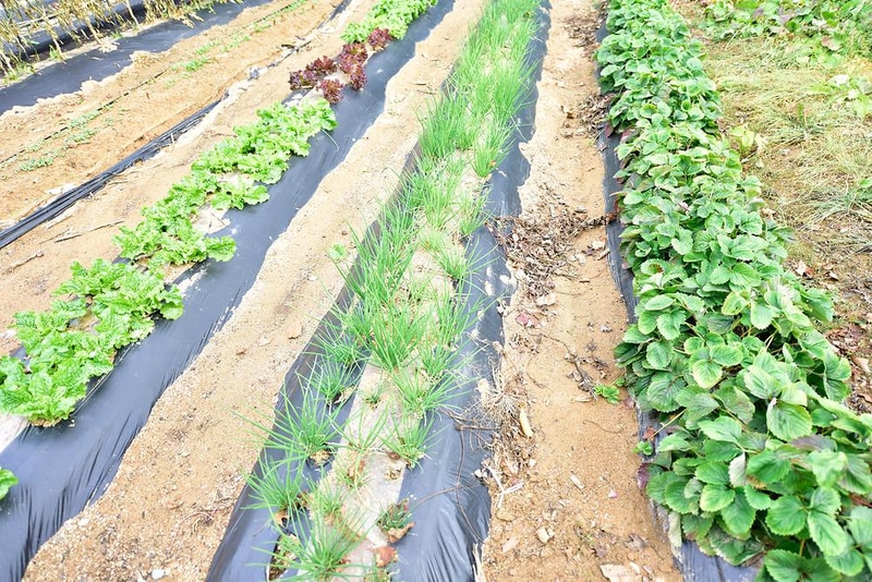 개울가오토캠핑장 시설 사진 12