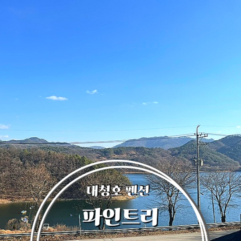 충북 보은 글램핑 대전 대청호 펜션 파인트리 숙소