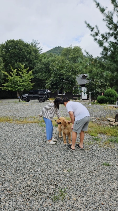 부라보캠프 펜션 강원도 양양 여행 부라보tv 현미 반가워