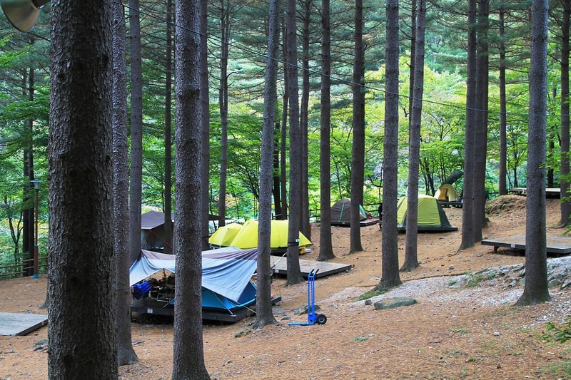 덕유산 자연휴양림 시설 사진 9