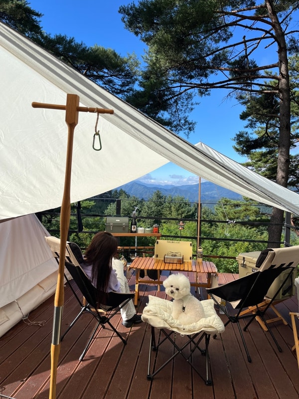 구름품은 캠핑장 (영월) / 뷰 좋은 자리, 애견동반