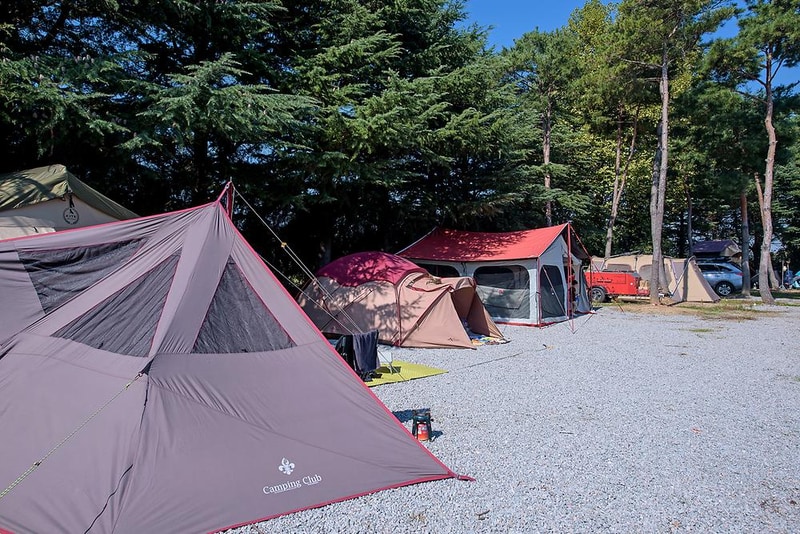 OK가족캠핑장 시설 사진 5