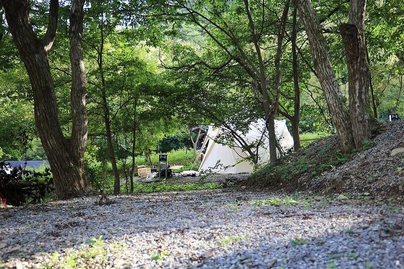 오아시스정글 시설 사진 5