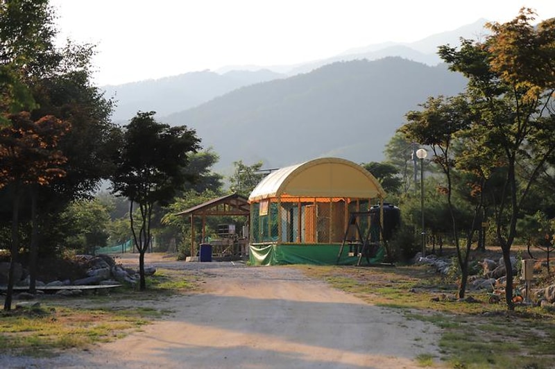 강원도힐링캠핑장 대표 사진