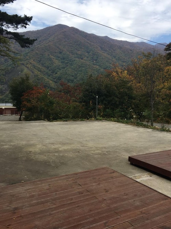 진틀펜션캠핑장 시설 사진 23