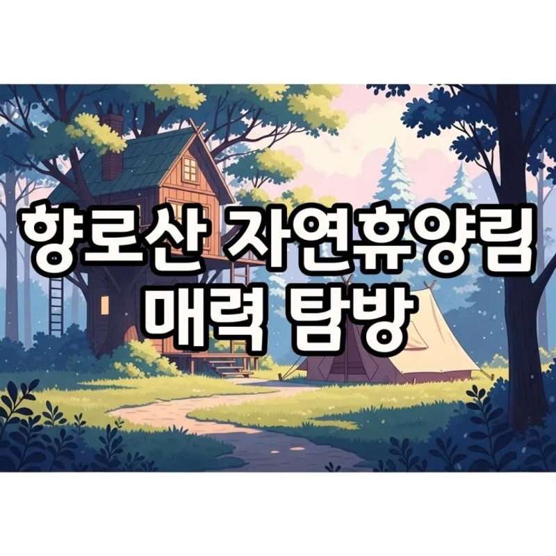 무주 향로산자연휴양림 숲속의집과 야영장, 사계절 힐링의 순간들
