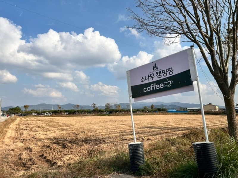 전북익산 소나무캠핑장 신생캠핑장