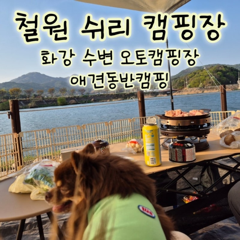 철원 쉬리 캠핑장 화강 수변 오토캠핑장 애견동반캠핑