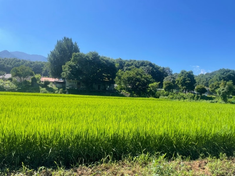 백패킹으로 도마치자연그대로캠핑장 다녀오기