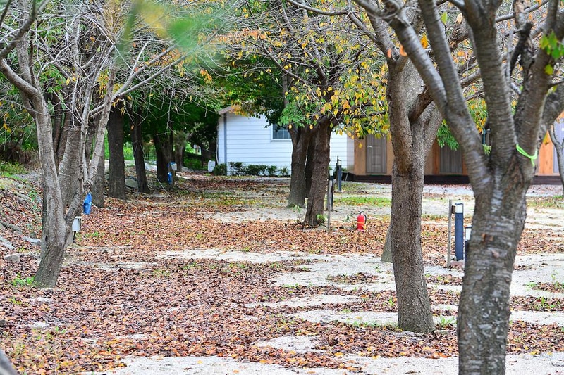 계곡풍경캠핑장 시설 사진 10